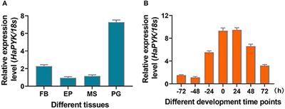 Pyruvate Kinase Is Required for Sex Pheromone Biosynthesis in Helicoverpa armigera